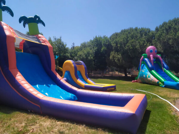 ⁦מגלשת תמנון מתקן חדש וייחודי בארץ⁩ – תמונה ⁦5⁩