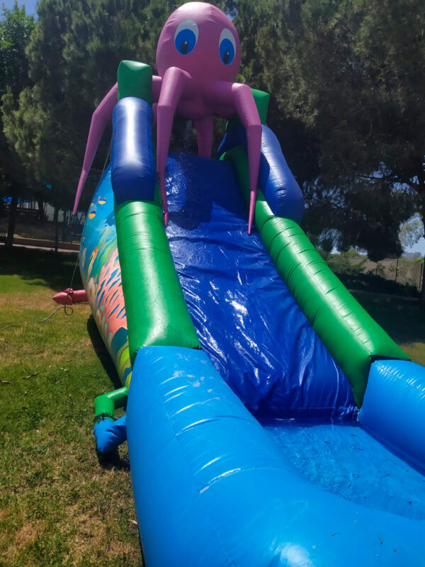 ⁦מגלשת תמנון מתקן חדש וייחודי בארץ⁩ – תמונה ⁦3⁩