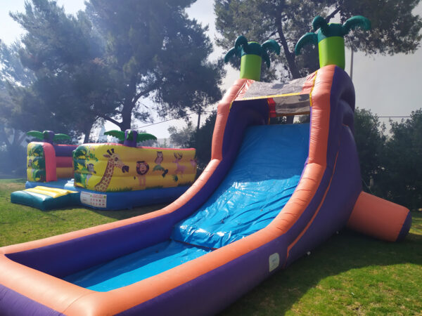 ⁦מגלשת דקלים⁩ – תמונה ⁦6⁩