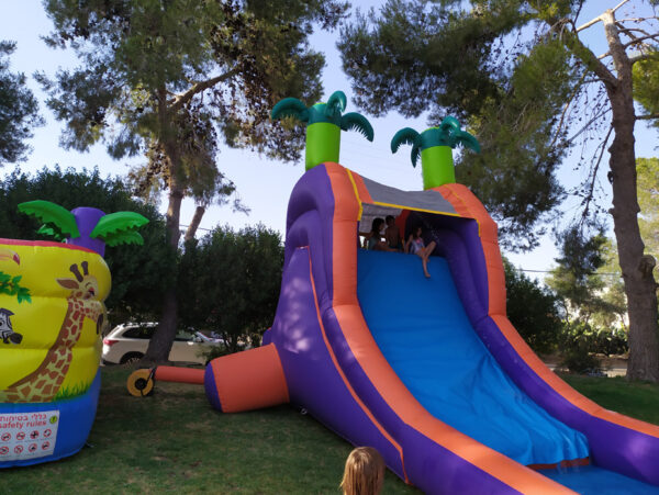 ⁦מגלשת דקלים⁩ – תמונה ⁦7⁩